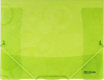 Spisové desky A4 s gumou NeoColori - zelená