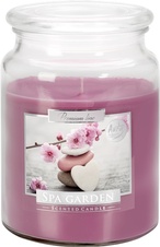 Vonná svíčka v dóze Maxi / Spa Garden