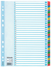 Rozdružovač A4 kartonový Esselte Mylar - barevný  / 1 - 31