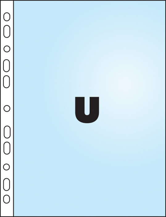 431110.jpg