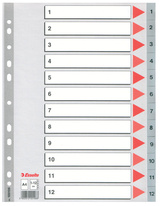 Rozdružovač A4 plastový šedý Esselte - 1 - 12